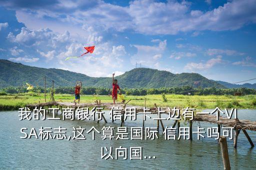 我的工商银行 信用卡上边有一个VISA标志,这个算是国际 信用卡吗可以向国...