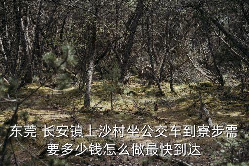 东莞 长安镇上沙村坐公交车到寮步需要多少钱怎么做最快到达