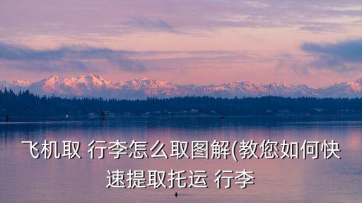 国外机场上哪取行李,在国外机场如何取机票