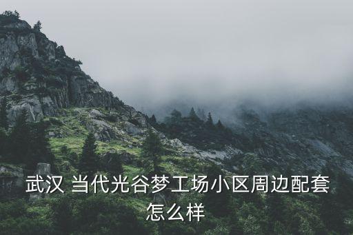  武汉 当代光谷梦工场小区周边配套怎么样