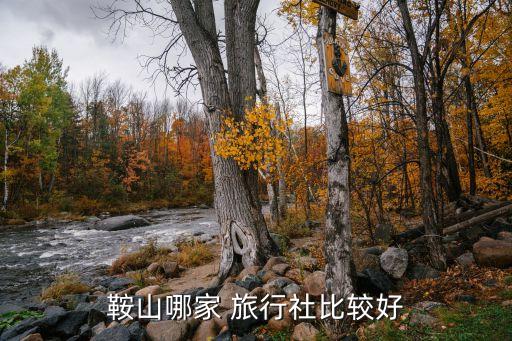 辽宁华洋国际旅行社,北京华洋天空国际旅行社