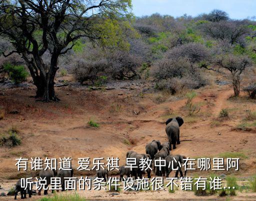 赤峰万达爱乐国际早教,赤峰爱乐早教老板
