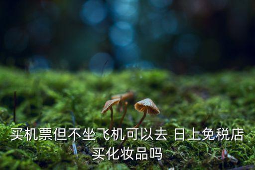 买机票但不坐飞机可以去 日上免税店买化妆品吗