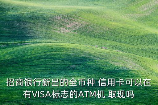 招商银行新出的全币种 信用卡可以在有VISA标志的ATM机 取现吗
