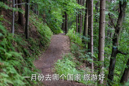一月份去哪个国家 旅游好