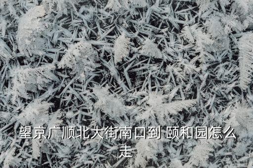  望京广顺北大街南口到 颐和园怎么走