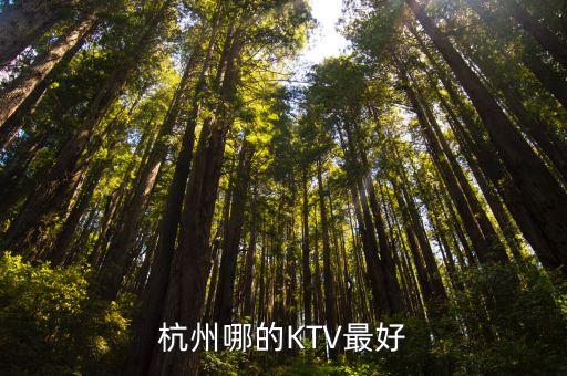 杭州哪的KTV最好