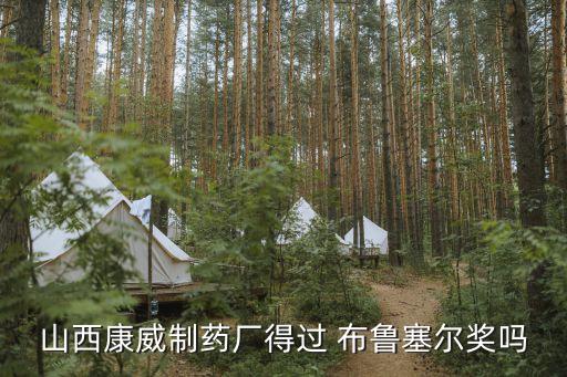 山西康威制药厂得过 布鲁塞尔奖吗