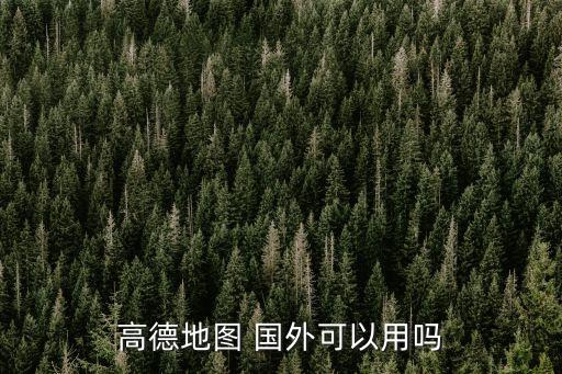 高德地图 国外可以用吗