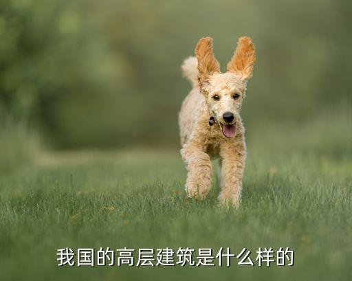 我国的高层建筑是什么样的