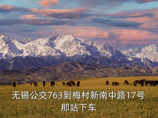无锡公交763到梅村新南中路17号那站下车