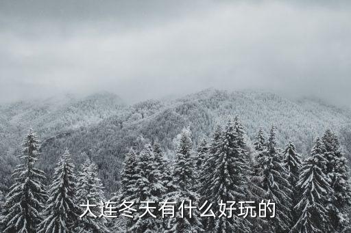  大连冬天有什么好玩的