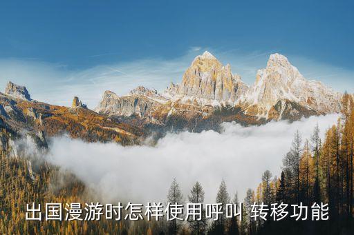 来电转移 国外,怎么把资产转移到国外