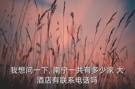 南宁国际大酒店妹子,南宁三月花国际大酒店