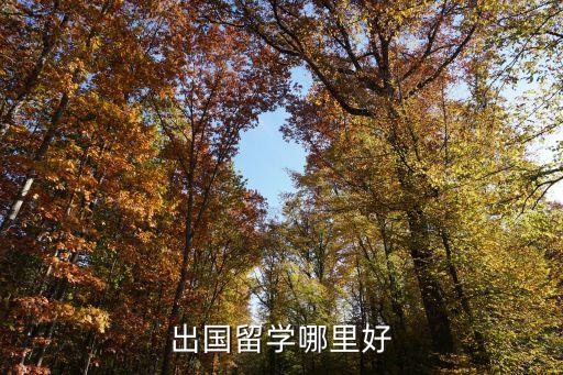 加拿大国际教育服务中心,河北省国际教育交流服务中心
