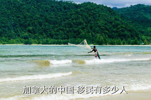 加拿大的中国 移民有多少人
