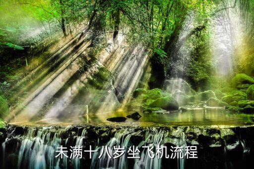未满十八岁坐飞机流程