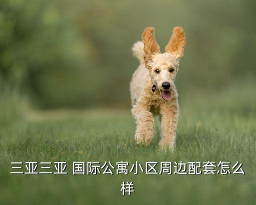 南北零食(国际购物中心店)怎么样