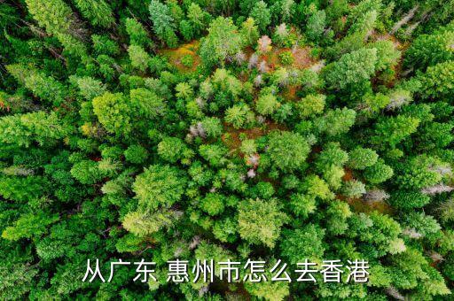从广东 惠州市怎么去香港