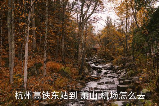 龙游到杭州萧山国际机场大巴,萧山国际机场到义乌的大巴时刻表