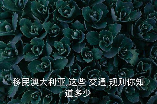 国外的交通规则,国外交通规则手抄报中英文