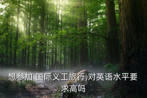 国际文化项目志愿者,大学生国际志愿者项目有哪些