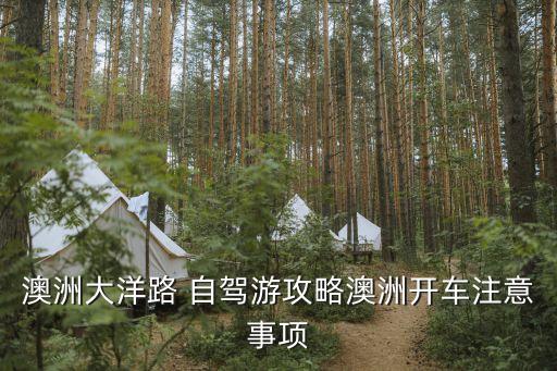 国外自驾游 惊险,去国外自驾游用什么导航