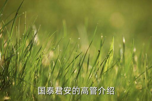 上海国际贵都总经理