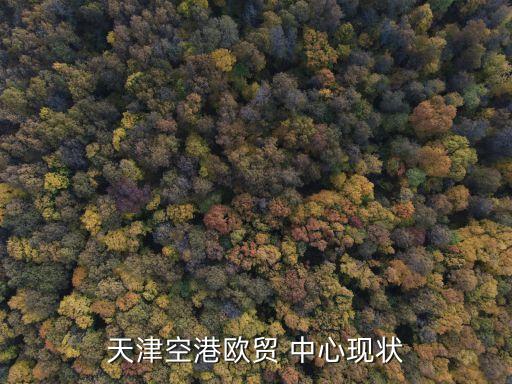 天津空港欧贸 中心现状