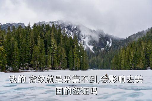 录指纹可在国外吗