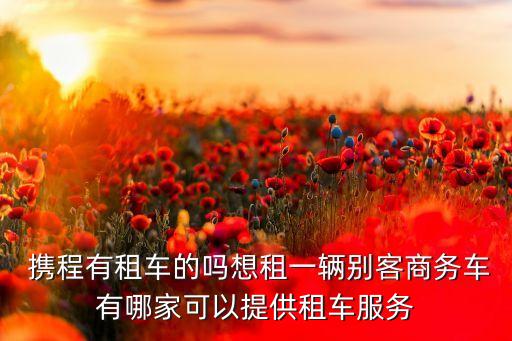  携程有租车的吗想租一辆别客商务车有哪家可以提供租车服务