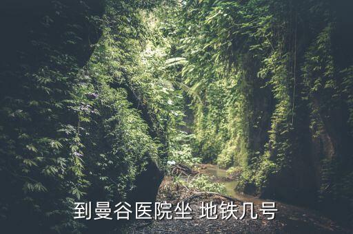 地铁素万那普国际机场,曼谷素万那普国际机场附近酒店推荐