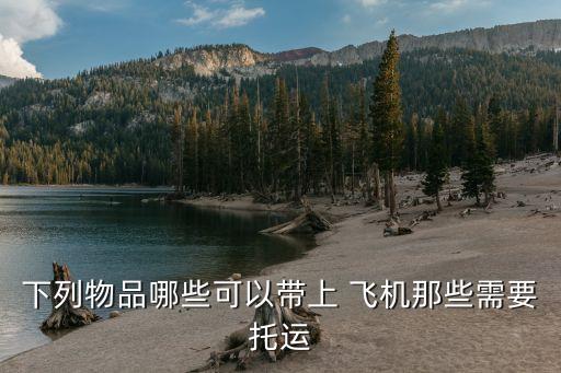 下列物品哪些可以带上 飞机那些需要托运