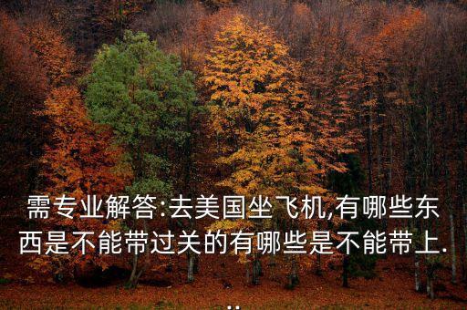 赴美国际航班托运,国际航班药品随身携带还是托运