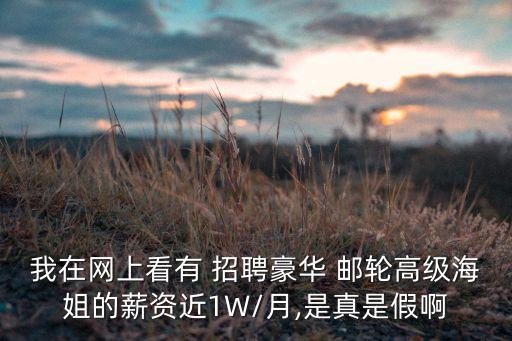 国外邮轮招聘,国外有哪些邮轮线路