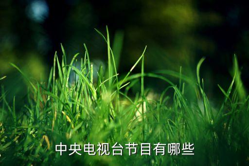 东南台深度国际,滇东南8日深度游