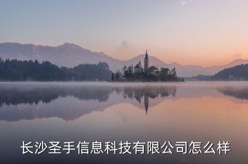  长沙圣手信息科技有限公司怎么样
