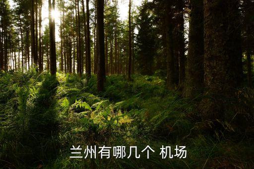  兰州有哪几个 机场