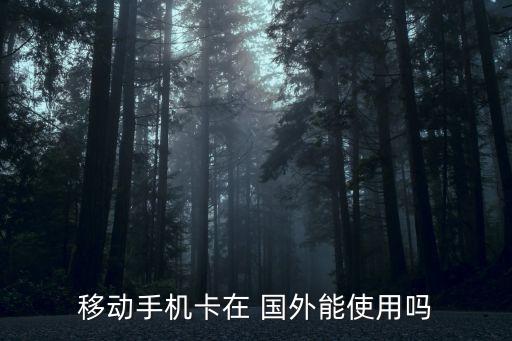 移动手机卡在 国外能使用吗
