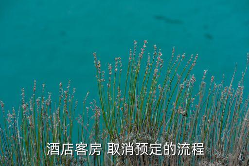 国外酒店预订取消,国外旅游酒店预订