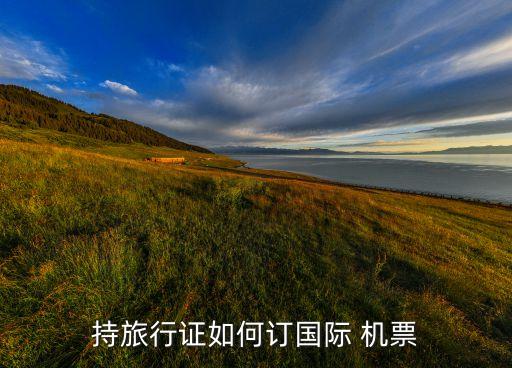 持旅行证如何订国际 机票