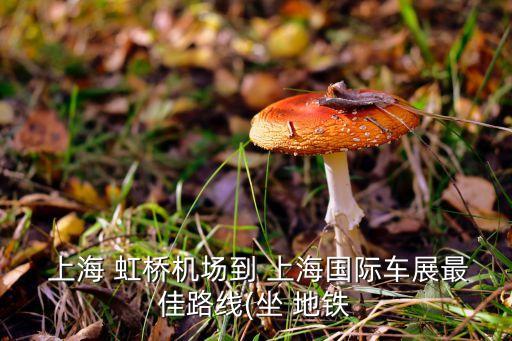  上海 虹桥机场到 上海国际车展最佳路线(坐 地铁