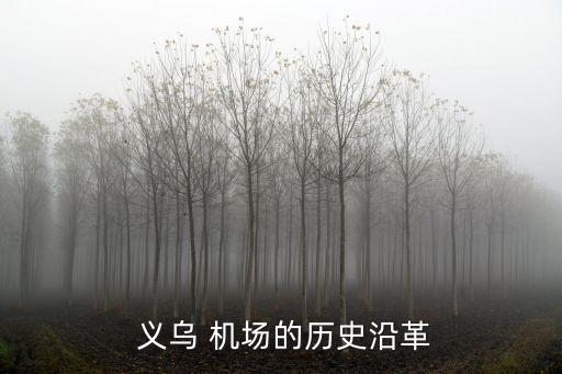  义乌 机场的历史沿革