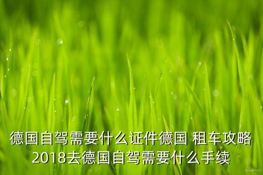 德国自驾需要什么证件德国 租车攻略2018去德国自驾需要什么手续