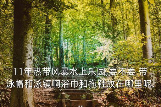 11年热带风暴水上乐园,要不要 带泳帽和泳镜啊浴巾和拖鞋放在哪里呢...
