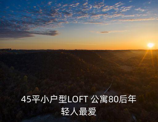 45平小户型LOFT 公寓80后年轻人最爱
