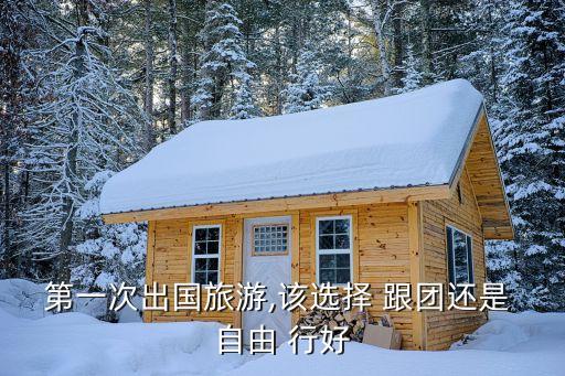 去国外旅行是自由行好还是跟团
