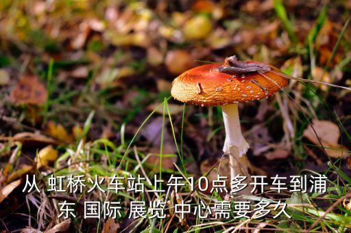 从 虹桥火车站上午10点多开车到浦东 国际 展览 中心需要多久