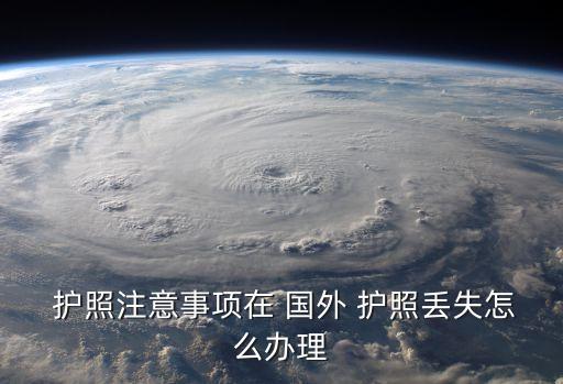 出国在国外护照丢了怎么办,旅途中用完护照随手就放包里