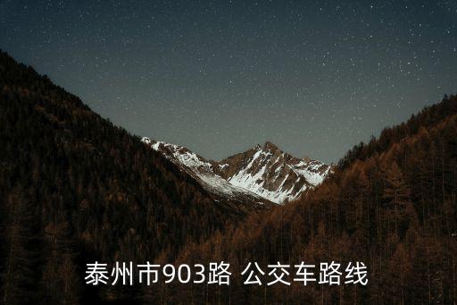 泰州市903路 公交车路线